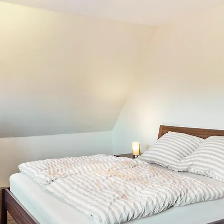Tatil Evi Friesenwald *