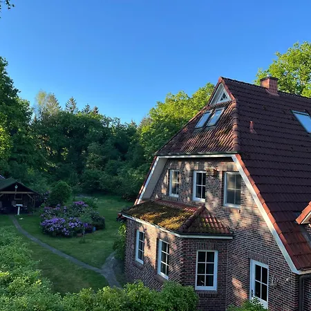Friesenwald